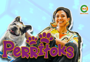 PerriToks